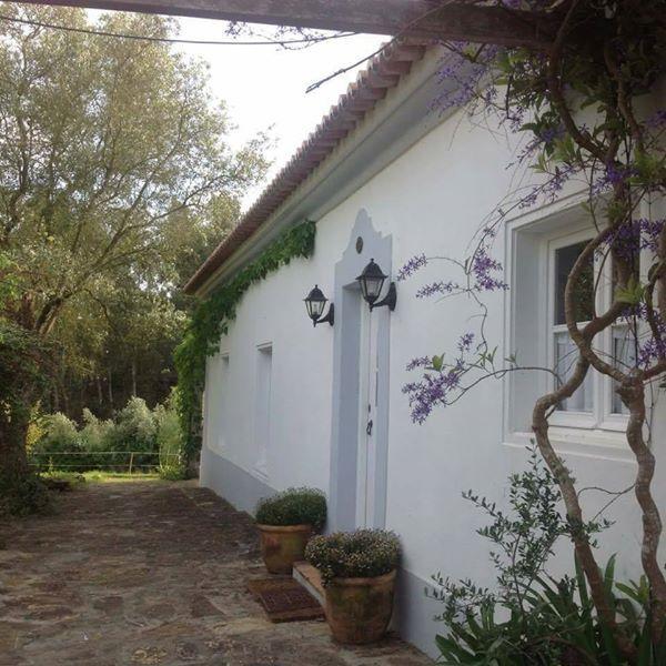 Monte Dos Papa Figos Hotell São Teotónio Exteriör bild